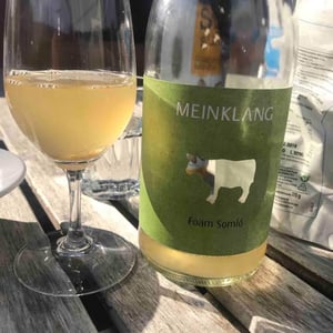 Foam - Meinklang - Weingut Michlits - angela-werner-michlits