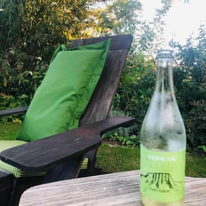 Foam Vulkán - Meinklang - Weingut Michlits - angela-werner-michlits