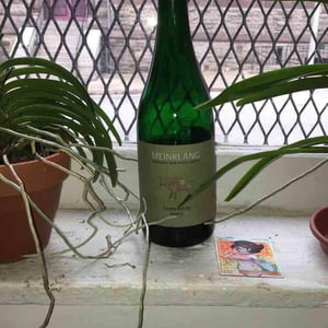 Foam Weiss - Meinklang - Weingut Michlits - angela-werner-michlits