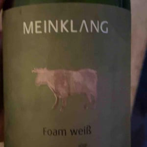 Foam White - Meinklang - Weingut Michlits - Angela & Werner Michlits 