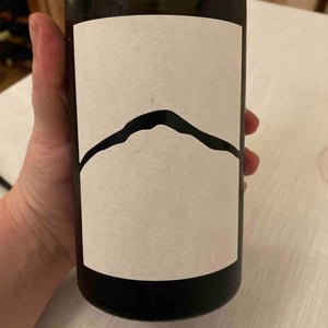 Fogosch - Joiseph Weingut - richard-artner-xandl-kagl-luka-zeichmann