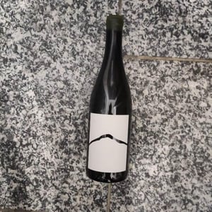 Fogosch - Joiseph Weingut - Richard Artner, Xandl Kagl & Luka Zeichmann 
