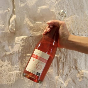 Folie des Grains - Domaine de Mirebeau - bruno-rochard