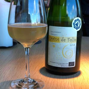 Folie des Grains - Domaine de Mirebeau - Bruno Rochard 