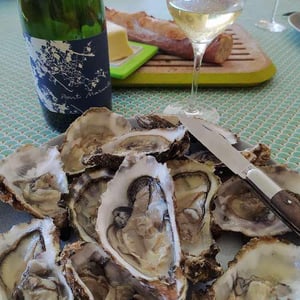 Folle De L'Abbaye - Clos Du Pont Marmite - robin-euvrard