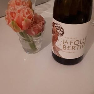 Folles Bulles Chenin - La Folle Berthe - david-foubert