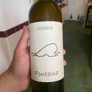 Fontana - La Vinicola di Antonio Gismondi - anabel-antonio-gismondi -2024