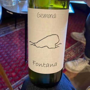 Fontana - La Vinicola di Antonio Gismondi - anabel-antonio-gismondi -2024