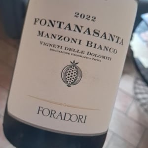 Fontanasanta Manzoni Bianco - Azienda Agricola Foradori - elisabetta-foradori