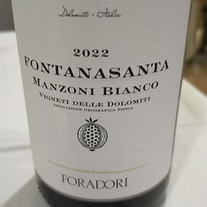 Azienda Agricola Foradori - Elisabetta Foradori - Fontanasanta Manzoni Bianco