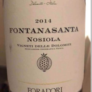 Azienda Agricola Foradori - Elisabetta Foradori - Fontanasanta Manzoni Bianco