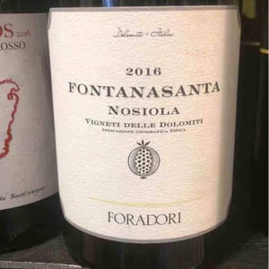 Azienda Agricola Foradori - Elisabetta Foradori - Fontanasanta Manzoni Bianco