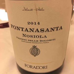 Azienda Agricola Foradori - Elisabetta Foradori - Fontanasanta Manzoni Bianco