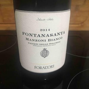Azienda Agricola Foradori - Elisabetta Foradori - Fontanasanta Manzoni Bianco