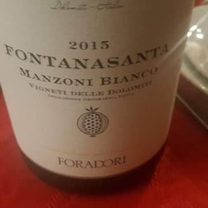Azienda Agricola Foradori - Elisabetta Foradori - Fontanasanta Manzoni Bianco