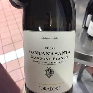 Azienda Agricola Foradori - Elisabetta Foradori - Fontanasanta Manzoni Bianco
