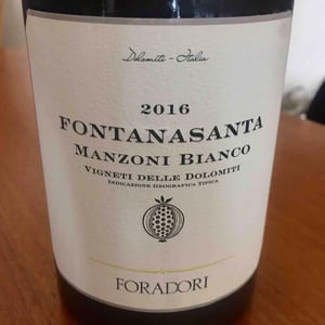 Azienda Agricola Foradori - Elisabetta Foradori - Fontanasanta Manzoni Bianco