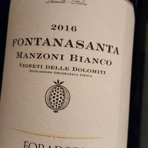 Fontanasanta Manzoni Bianco - Azienda Agricola Foradori - elisabetta-foradori
