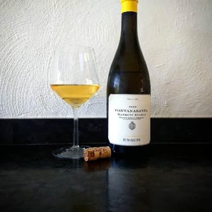 Azienda Agricola Foradori - Elisabetta Foradori - Fontanasanta Manzoni Bianco
