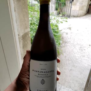 Azienda Agricola Foradori - Elisabetta Foradori - Fontanasanta Manzoni Bianco