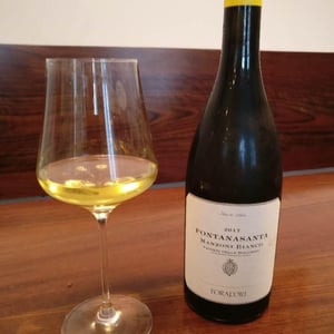 Azienda Agricola Foradori - Elisabetta Foradori - Fontanasanta Manzoni Bianco