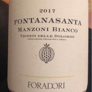 Azienda Agricola Foradori - Elisabetta Foradori - Fontanasanta Manzoni Bianco