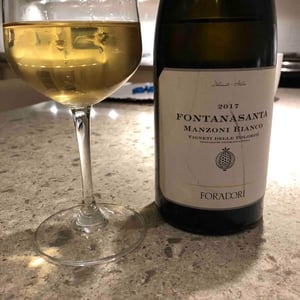 Azienda Agricola Foradori - Elisabetta Foradori - Fontanasanta Manzoni Bianco