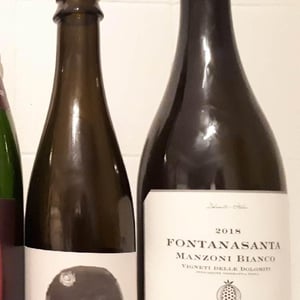 Azienda Agricola Foradori - Elisabetta Foradori - Fontanasanta Manzoni Bianco