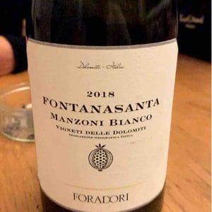 Azienda Agricola Foradori - Elisabetta Foradori - Fontanasanta Manzoni Bianco