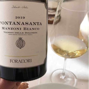 Azienda Agricola Foradori - Elisabetta Foradori - Fontanasanta Manzoni Bianco