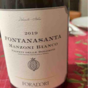 Azienda Agricola Foradori - Elisabetta Foradori - Fontanasanta Manzoni Bianco