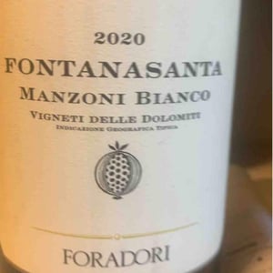 Azienda Agricola Foradori - Elisabetta Foradori - Fontanasanta Manzoni Bianco
