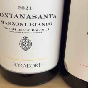 Fontanasanta Manzoni Bianco - Azienda Agricola Foradori - elisabetta-foradori
