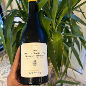 Fontanasanta Manzoni Bianco - Azienda Agricola Foradori - elisabetta-foradori