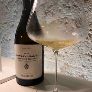 Fontanasanta Manzoni Bianco - Azienda Agricola Foradori - elisabetta-foradori