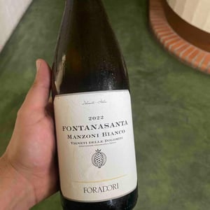 Fontanasanta Manzoni Bianco - Azienda Agricola Foradori - elisabetta-foradori