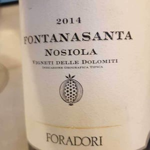 Azienda Agricola Foradori - Elisabetta Foradori - Fontanasanta Manzoni Bianco