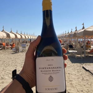Fontanasanta Manzoni Bianco - Azienda Agricola Foradori - elisabetta-foradori