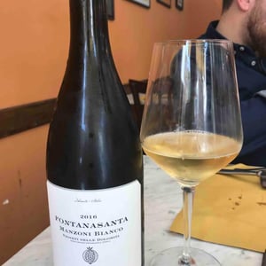 Azienda Agricola Foradori - Elisabetta Foradori - Fontanasanta Manzoni Bianco