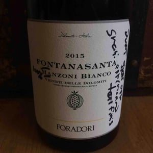 Azienda Agricola Foradori - Elisabetta Foradori - Fontanasanta Manzoni Bianco