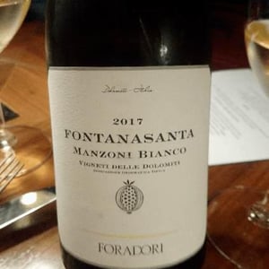 Azienda Agricola Foradori - Elisabetta Foradori - Fontanasanta Manzoni Bianco