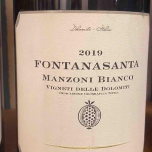Azienda Agricola Foradori - Elisabetta Foradori - Fontanasanta Manzoni Bianco