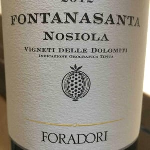 Azienda Agricola Foradori - Elisabetta Foradori - Fontanasanta Nosiola