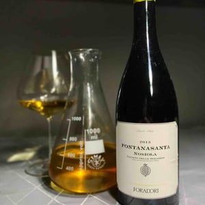 Azienda Agricola Foradori - Elisabetta Foradori - Fontanasanta Nosiola