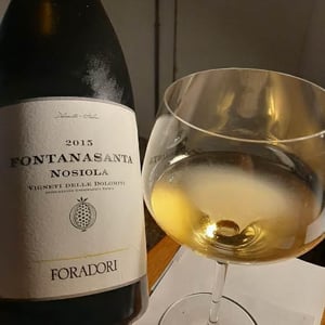 Azienda Agricola Foradori - Elisabetta Foradori - Fontanasanta Nosiola