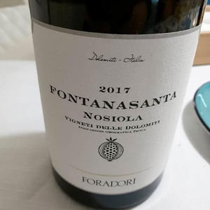 Azienda Agricola Foradori - Elisabetta Foradori - Fontanasanta Nosiola