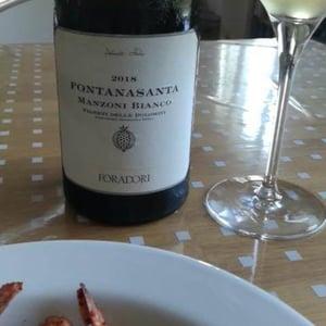 Azienda Agricola Foradori - Elisabetta Foradori - Fontanasanta Nosiola