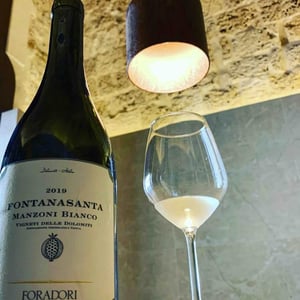 Fontanasanta Nosiola - Azienda Agricola Foradori - Elisabetta Foradori 