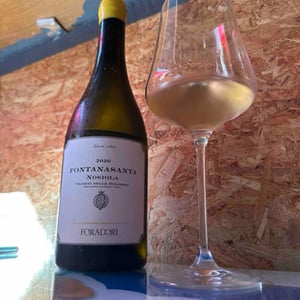 Azienda Agricola Foradori - Elisabetta Foradori - Fontanasanta Nosiola