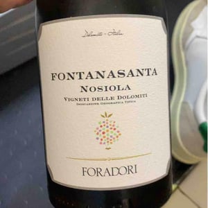 Fontanasanta Nosiola - Azienda Agricola Foradori - elisabetta-foradori